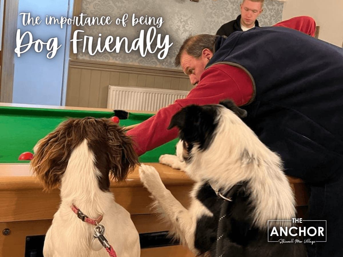 Dog Friendly Pub Near Heathrow | The Anchor Welcomes Dogs in Stanwell Moor