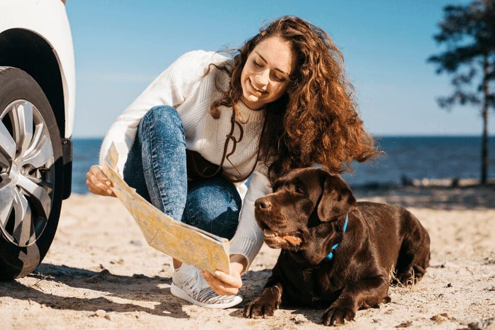 Dog Travel Guide Near Heathrow | Pet-Friendly Stop at The Anchor