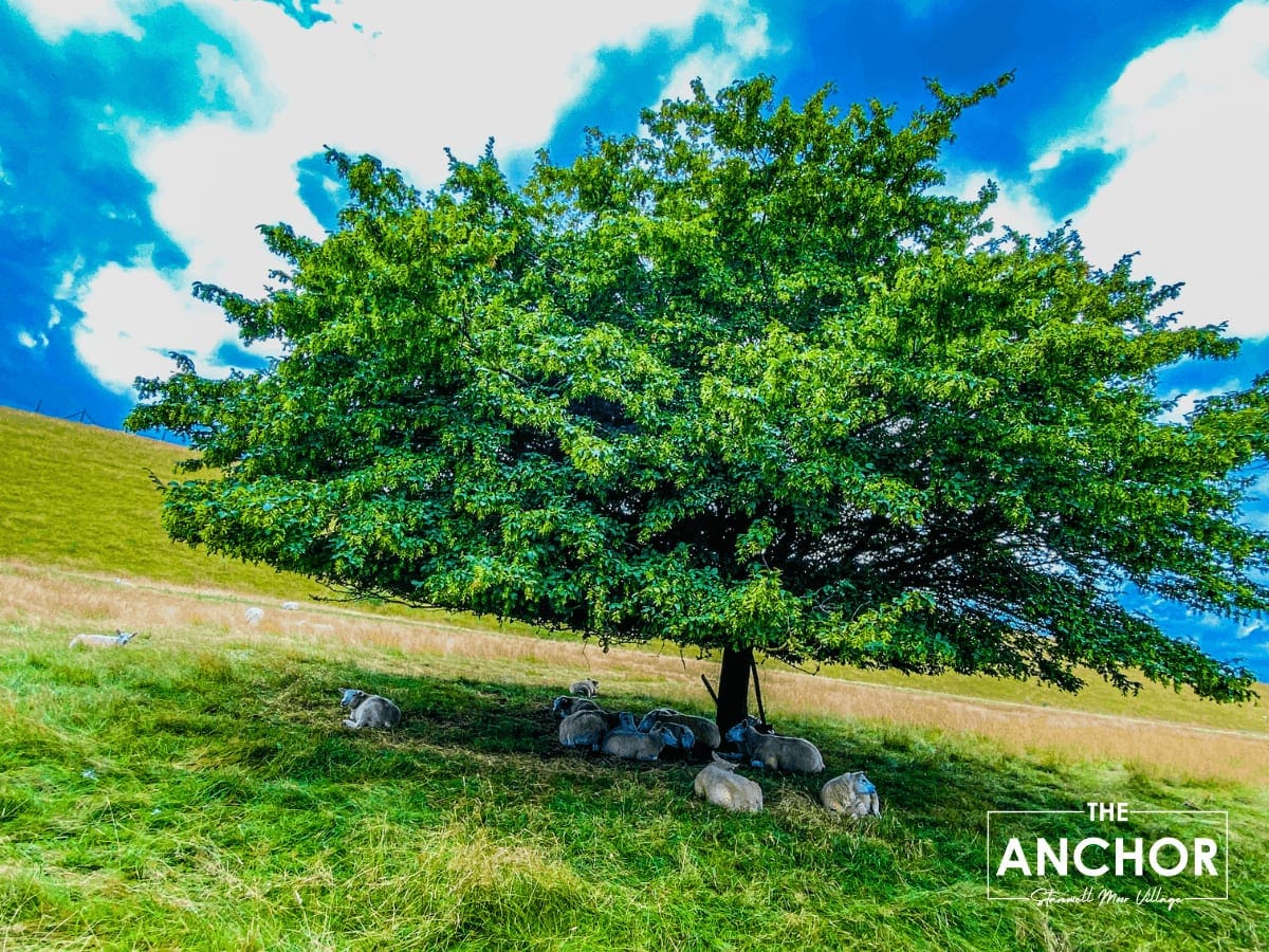 world photography day embracing stanwell moor s ch image